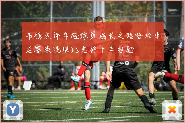 韦德点评年轻球员成长之路哈珀季后赛表现堪比老将十年经验