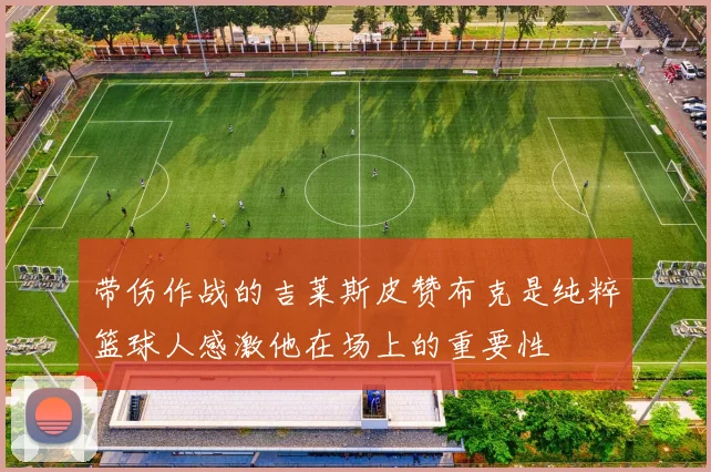 带伤作战的吉莱斯皮赞布克是纯粹篮球人感激他在场上的重要性